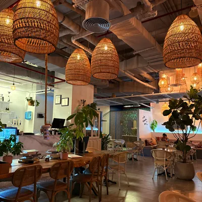 Planet Terra restaurant