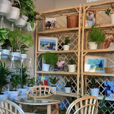 AROMO - plantas & café restaurant