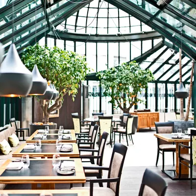 Restaurant Clementine im Glashaus restaurant