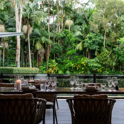 Forest Byron Bay restaurant