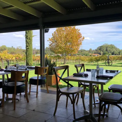 Pinelli Estate Winery Restaurant restaurant