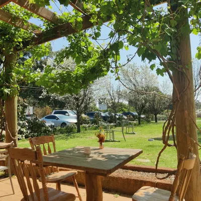 The Naked Fox Wine Bar, Kitchen & Café restaurant