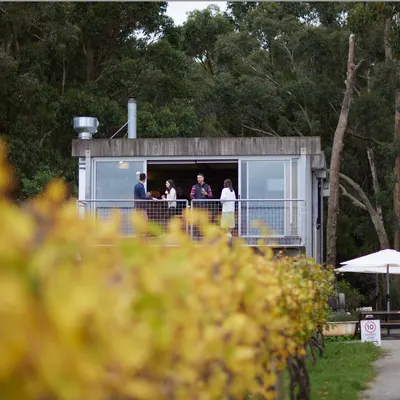 Mount Towrong Vineyard | Winery & Cellar Door restaurant