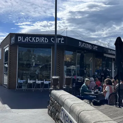 Blackbird Cafe restaurant