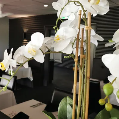 Skyring's Restaurant and Bar restaurant
