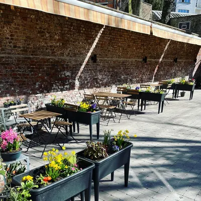 Bodja restaurant