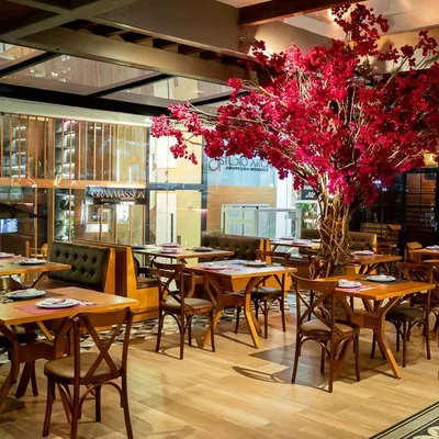 Lourdes Square Gastronomia restaurant, photo: Lourdes Square Gastronomia (業主)