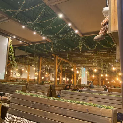 Mundo Animal Lanchonete Temática São Bernardo do Campo - Comidas e Bebidas restaurant