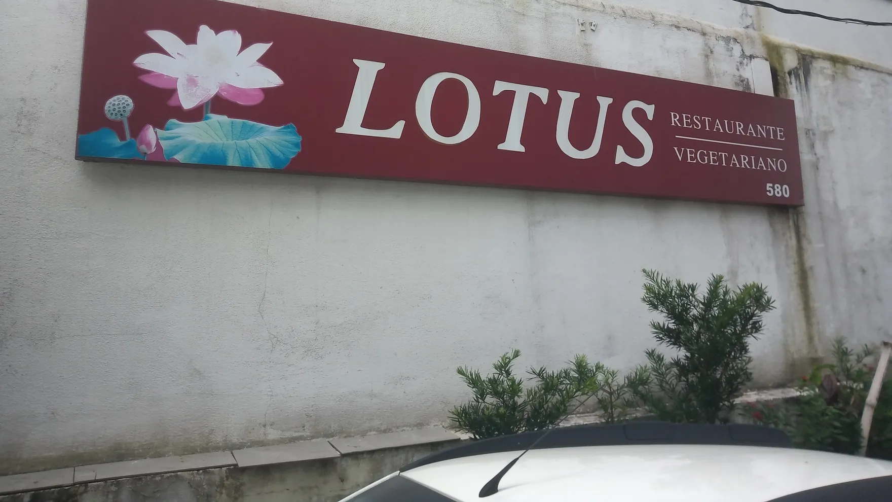 Lotus Restaurante Vegetariano restaurant in São José dos Campos - SP