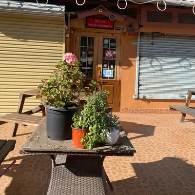 The Zone restaurant