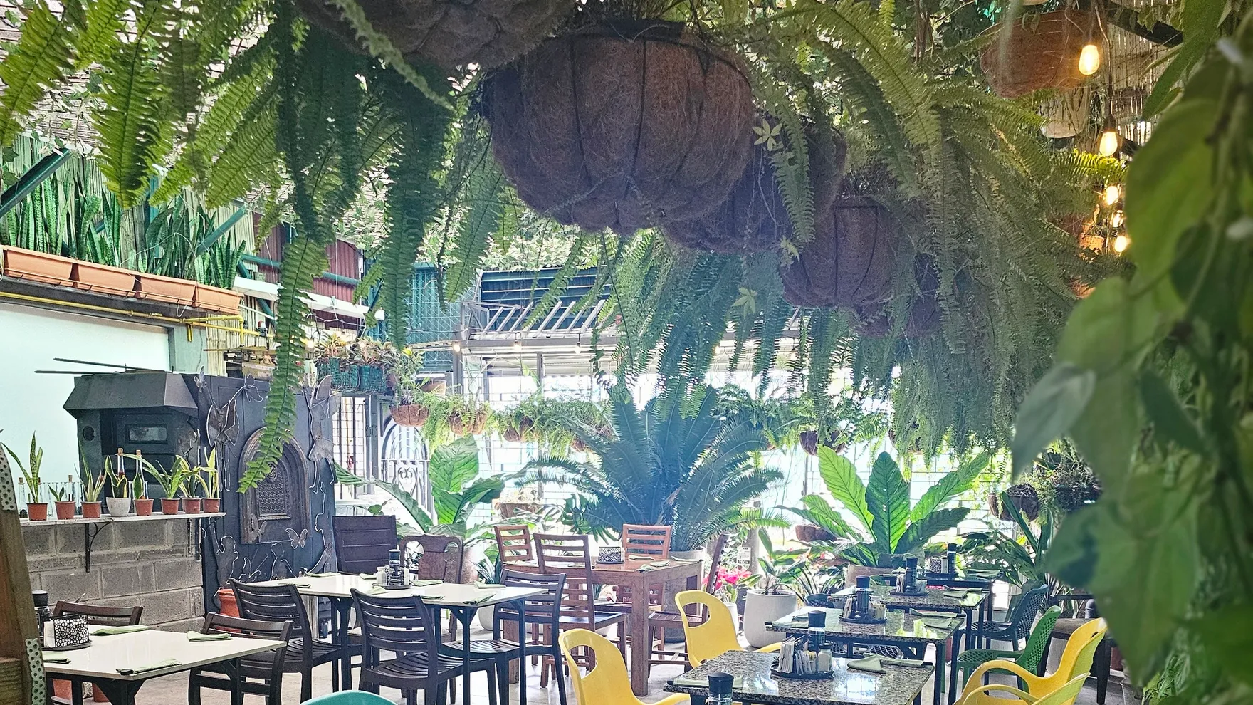 Don Luis Panaderia-Gluten free restaurant in San Francisco