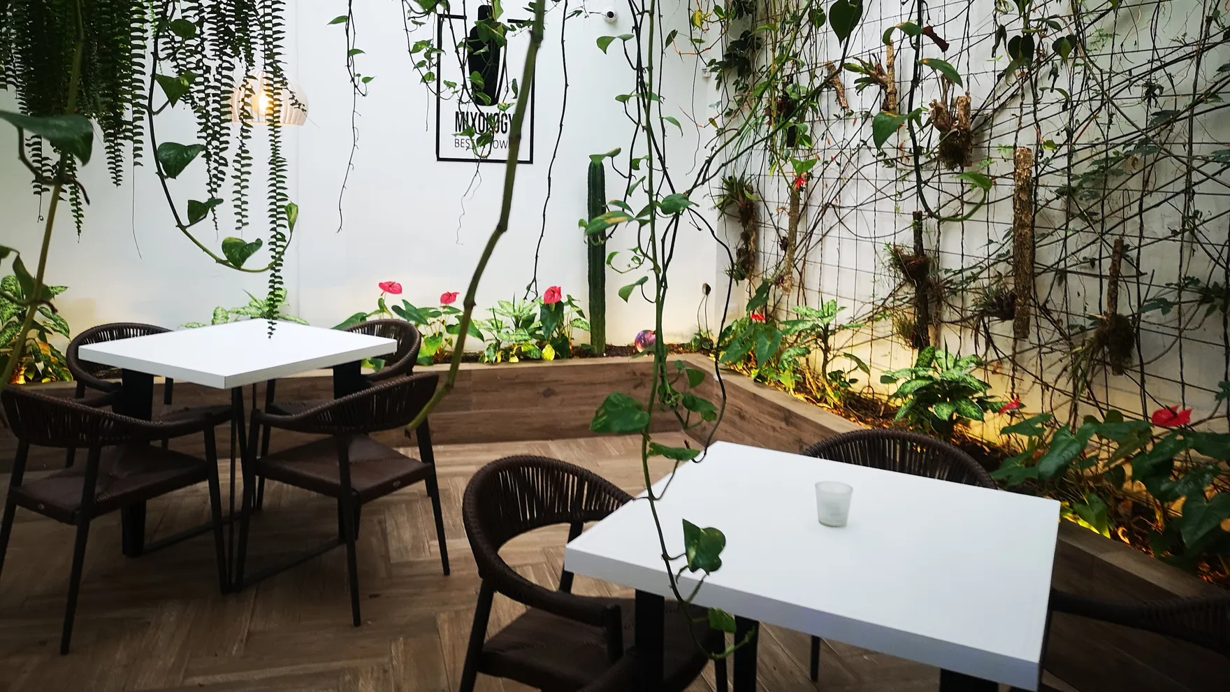 Samadhi restaurant in Barrio Escalante
