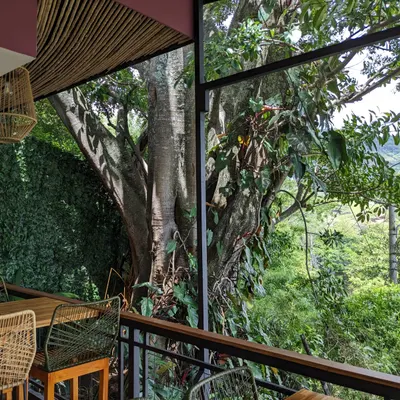 Tierra del Café restaurant