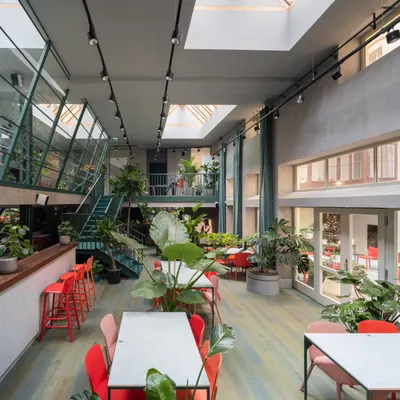Healthy Longevity Café - Restaurant restaurant