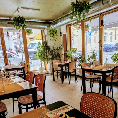Restaurace U Agamy - gluten free restaurant