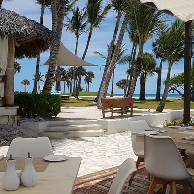 La Palapa by Eden Roc restaurant