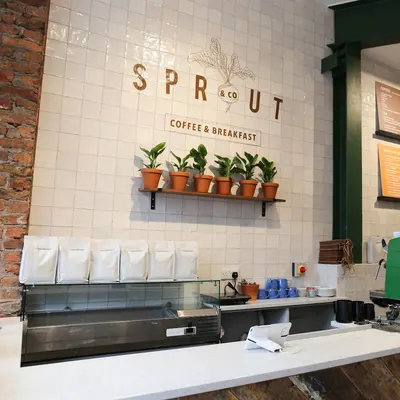 Sprout & Co Dawson St restaurant
