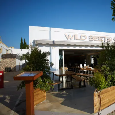 Wild Beets restaurant
