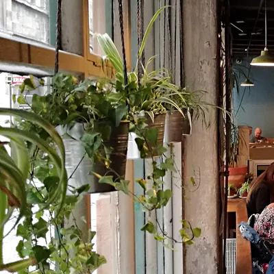 Stereo restaurant