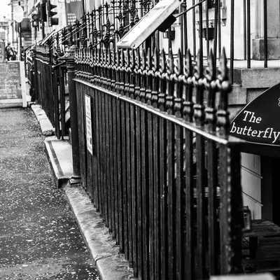 The butterfly and the pig restaurant