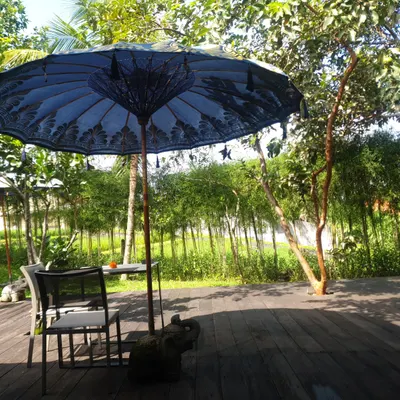 Botanist by Blue Karma Secrets restaurant
