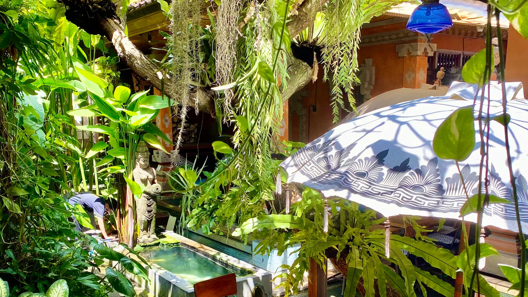 CAFE VIDA Healthy Organic Restaurant Canggu restaurant in Kabupaten Badung