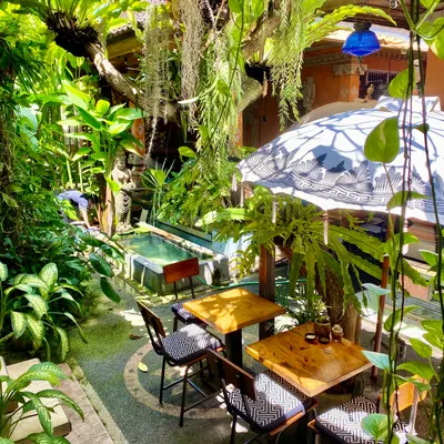 CAFE VIDA Healthy Organic Restaurant Canggu restaurant
