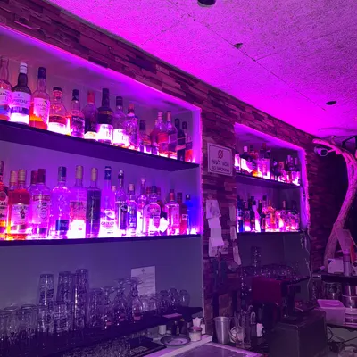 Alpaca vegan bar restaurant
