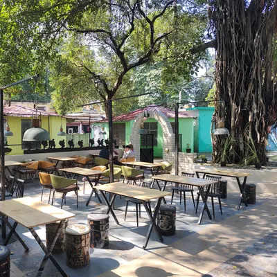The Backyard Cafe 'N' Bistro restaurant