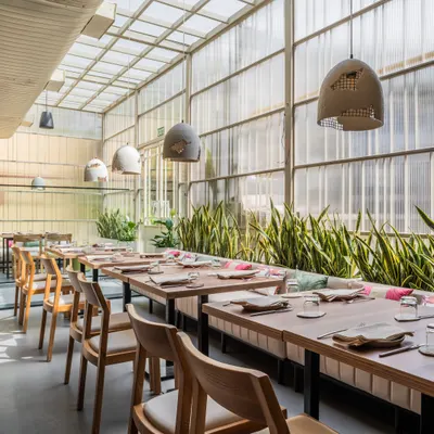 Canvas V Plant Fwd Kitchen+Bar restaurant