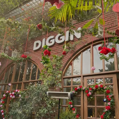Diggin Cafe restaurant