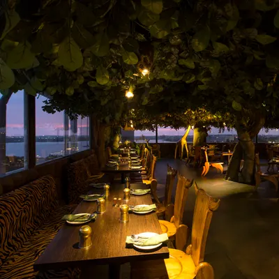 Jungle Restaurant, Hubli restaurant