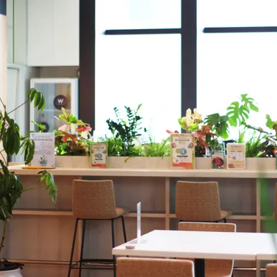 W Holistic Retreat restaurant