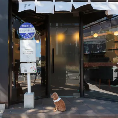 NANAN TOKYO restaurant
