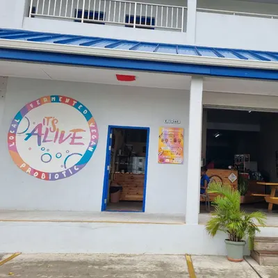 It's Alive Bakery & Fermentory restaurant