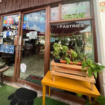 BaoVegan restaurant