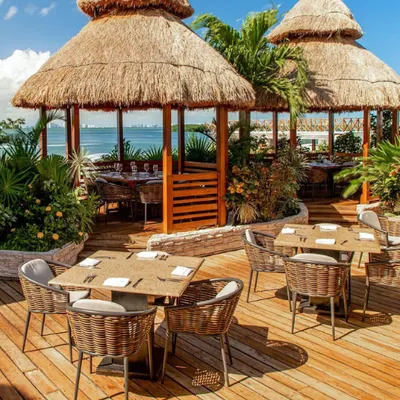 Fred's | The best seafood in Cancun restaurant