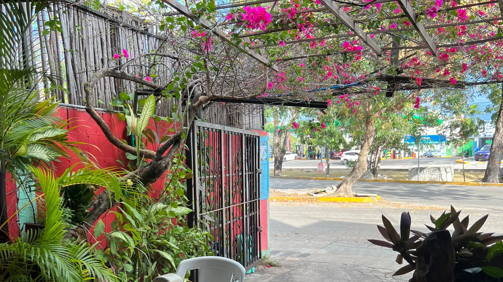 Gopals restaurant in 77505 Cancún