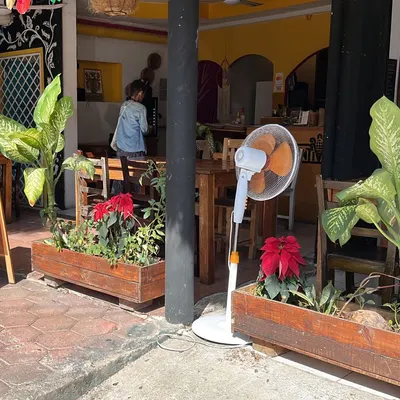 Plantivoros restaurant