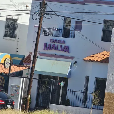 Casa Malva restaurant