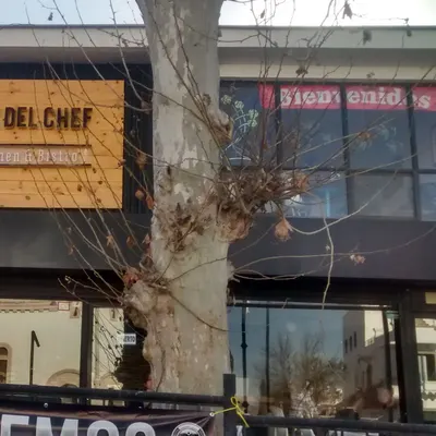 El Taller del Chef restaurant