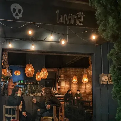 Luvina Vegan Bar restaurant