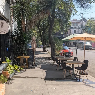 Mandragora vegan restaurant
