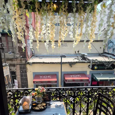 Terra Nostra - Vegetarian Restaurant restaurant