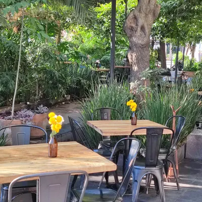 The Ventanita Cafe restaurant