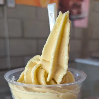 Frozen Vegan restaurant