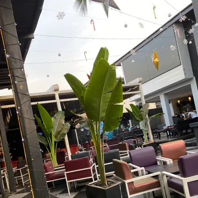 NOX Resturant and Lounge restaurant