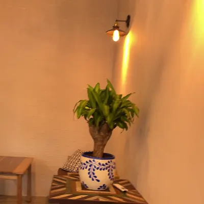 El Arabe restaurant