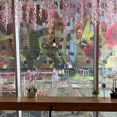 Vybe café restaurant
