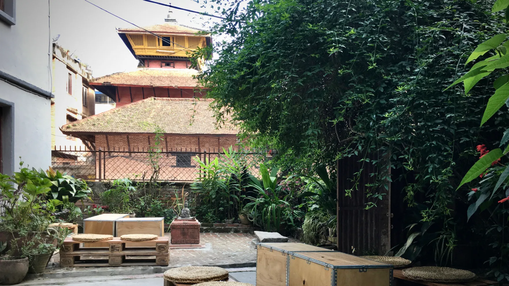 Organic Smoothie Bowl and Cafe - Thamel restaurant in Kathmandu 44600